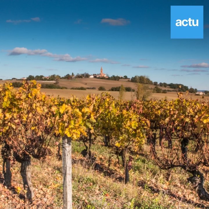 Législatives 2021 : les 3 propositions phares des candidats dans la 5e circo de Haute-Garonne