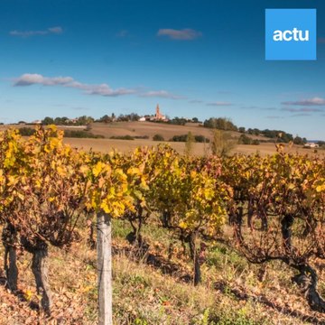 Législatives 2021 : les 3 propositions phares des candidats dans la 5e circo de Haute-Garonne