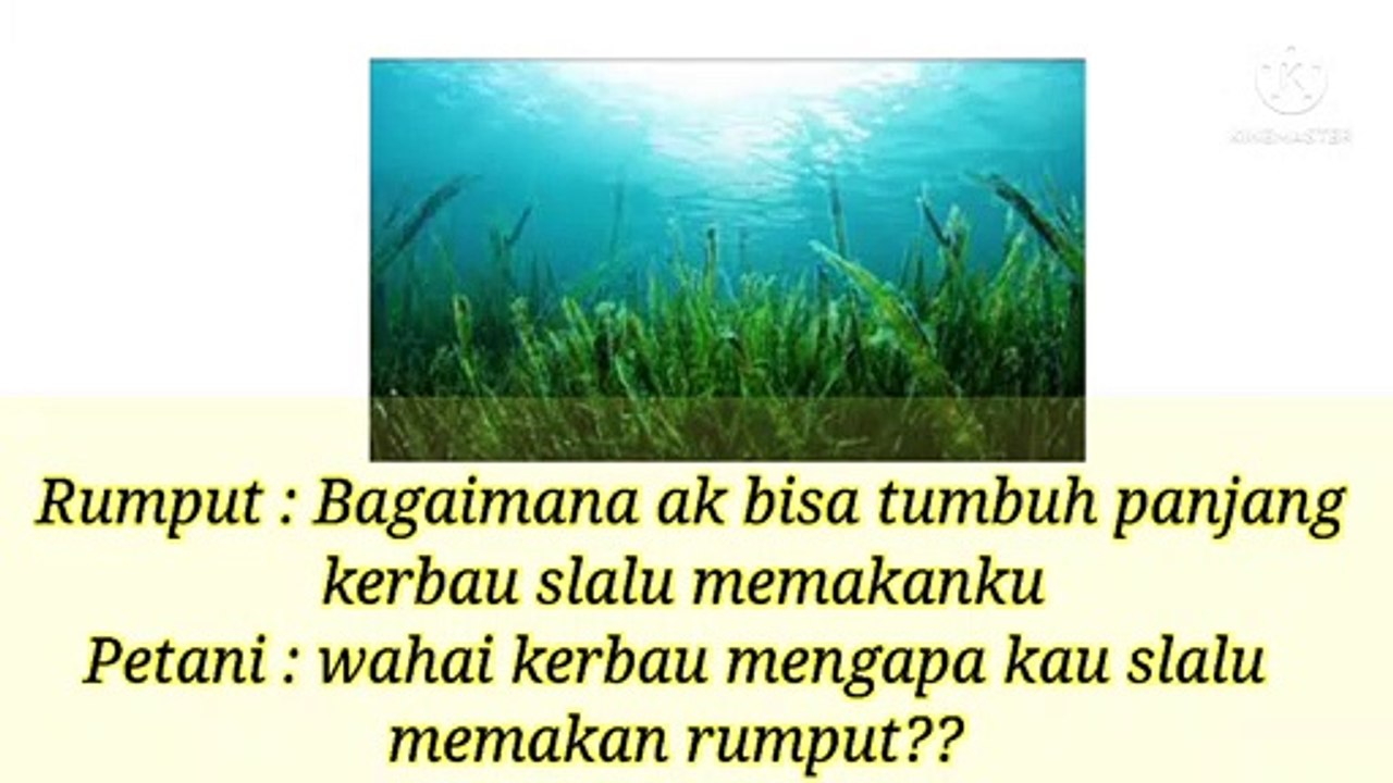 Rantai makanan