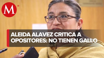 “¿Tiro?, ¿con quién? Oposición no tiene gallo ni gallina para 2024”: diputada de Morena