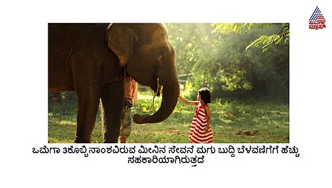 ನಿಮ್ಮ ಮಗುವಿನ ಬುದ್ದಿಮತ್ತೆ ಹೆಚ್ಚಿಸಲು ಈ ಆಹಾರಗಳು ಉತ್ತಮ