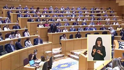 Feijóo a Sánchez en el Senado: "Parece un conductor en dirección contraria"