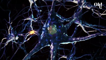 Scientists working on revolutionary slow ageing vaccination