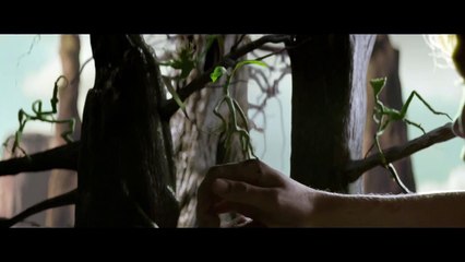 Fantastic Beasts and Where to Find Them - movie trailer #4