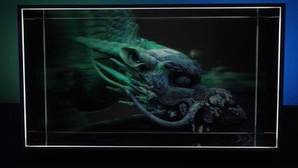 Looking Glass Factory tele holográfica