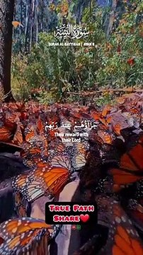 Are u among these people❓do u know who are they‼May u & i be amongst them❤hope so u have this quality