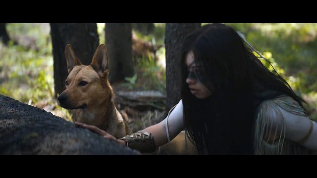 Predator: La presa, tráiler oficial