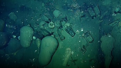 Detalles del hallazgo de la Armada Nacional donde reposa el Galeón San José