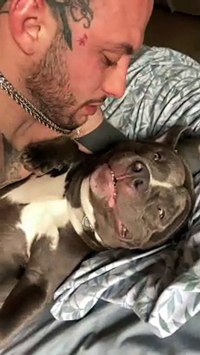 Dog Makes Funny Noises While Getting Kisses From Dad