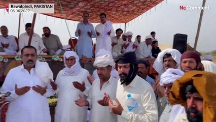 شاهد: سباق الثيران التقليدي في باكستان