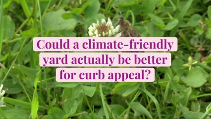 Could a Climate-Friendly Yard Actually Be Better for Curb Appeal?