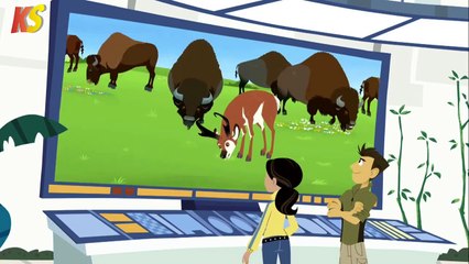 Kratts Series - o mistério da padaria