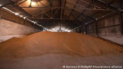 FAO: Helping Ukrainian farmers is 'challenging'