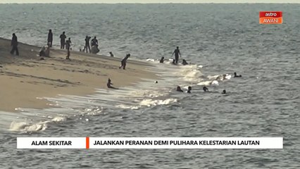 Alam Sekitar | Jalankan peranan demi pulihara kelestarian lautan