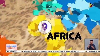 Seiko, The African Serval Cat