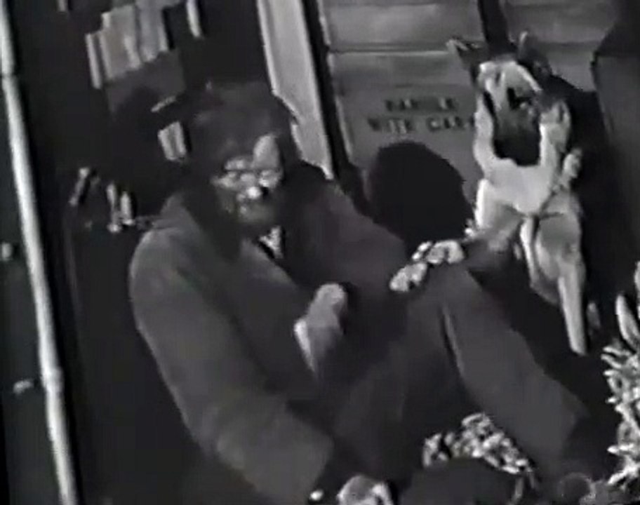 The Adventures of Rin Tin Tin E34
