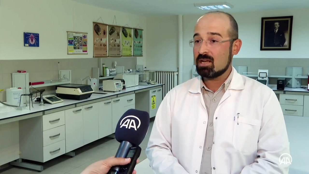 Kırım Kongo Kanamalı Ateşi'ne yol açan kene hakkında doğru bilinen yanlışlar