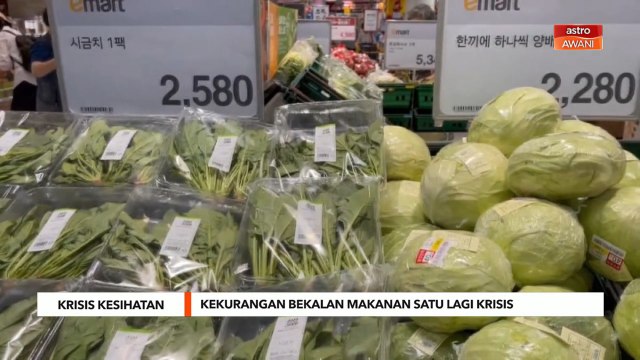 Krisis Kesihatan | Kekurangan bekalan makanan satu lagi krisis