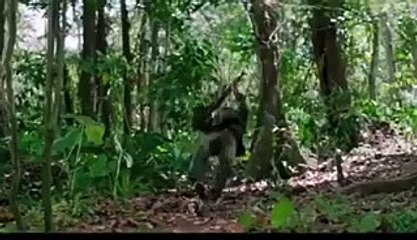 LATEST DJ AFRO MOVIES 2022