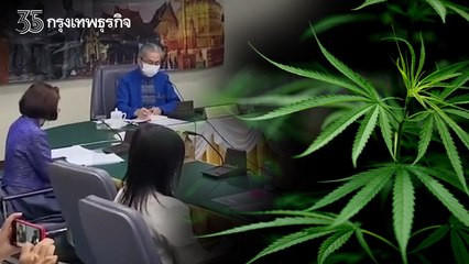 "ปลดล็อกกัญชา" 9 มิ.ย. 65 สสจ.เชียงใหม่ สุดห่วงเยาวชนเตรียมพร้อมให้ความรู้