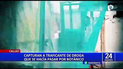 Callao: PNP allana laboratorio de marihuana que operaba en vivienda