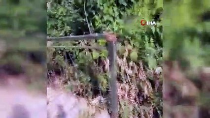 Gezi yolunun demirlerini çalan hırsızlar yakayı ele verdi