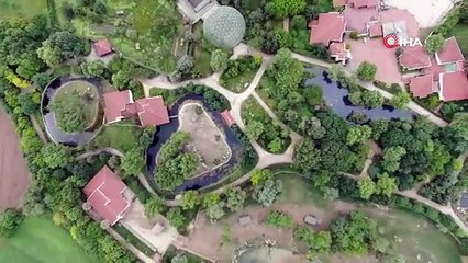 Öğrenciler lemurları elleriyle besledi