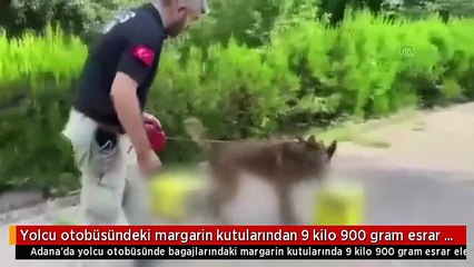 Yolcu otobüsündeki margarin kutularından 9 kilo 900 gram esrar çıktı
