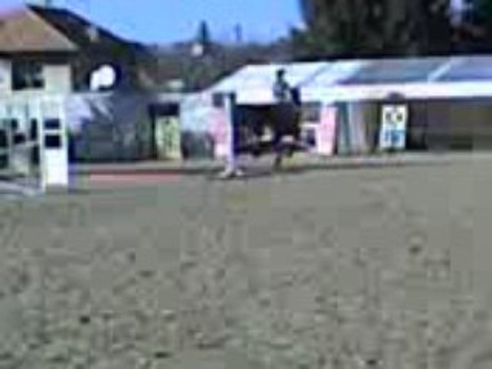 Luna et moi M.E.S Saut