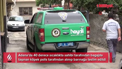Bagajda taşınan köpek barınağa teslim edildi