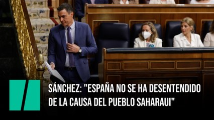 Sánchez: "España no se ha desentendido de la causa del pueblo saharaui"