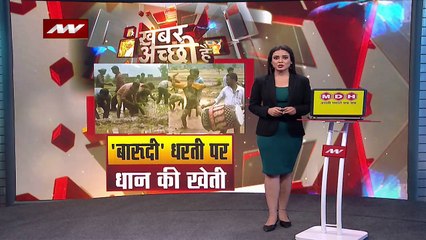   Jammu-Kashmir: जहां बरसते थे गोले, वहां अब धान की खेती