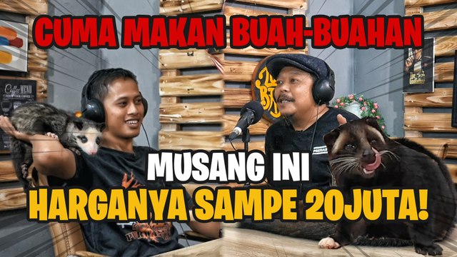 WARGA PURWAKARTA INI RAUP CUAN JUTAAN RUPIAH PER BULAN DARI TERNAK MUSANG! | JADI BEGINI PODCAST #78