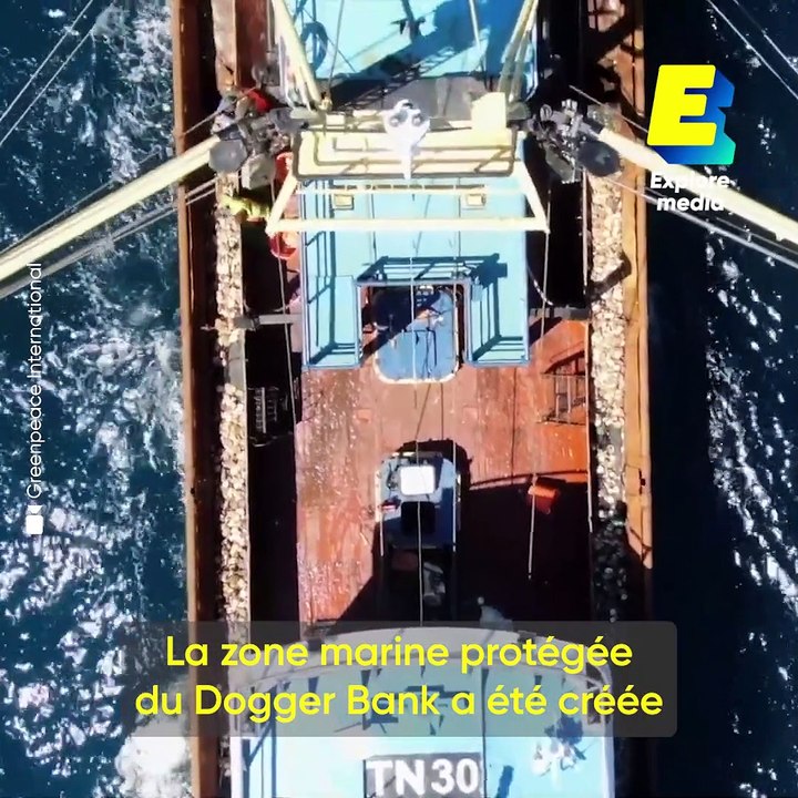 Pourquoi est-ce que Greenpeace jette d'énormes rochers au fond des océans ?