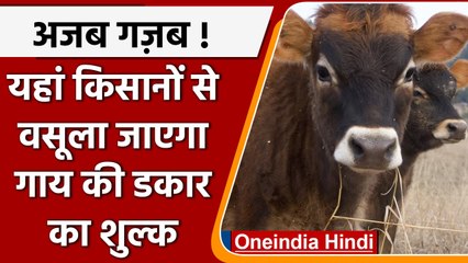 Cow की डकार से उबल रही दुनिया, अब ये देश Farmers से वसूलेगा डकार शुल्क | वनइंडिया हिंदी | * News