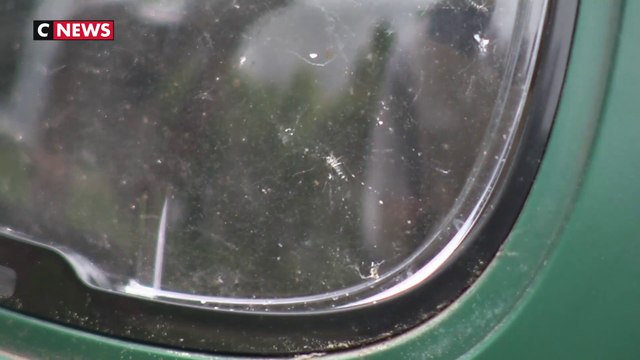 Moustique tigre en France : ces 67 départements placés en vigilance rouge