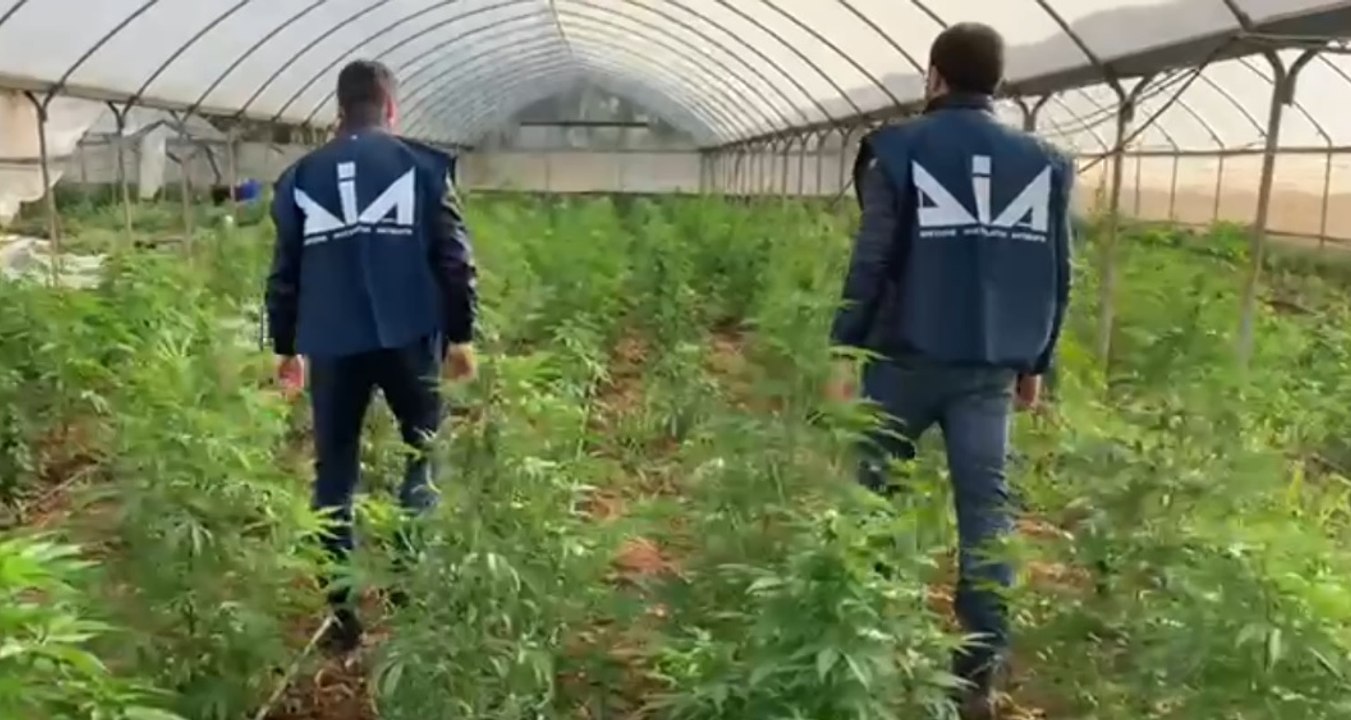 Traffico di droga e armi 11 arresti in Puglia (08.06.22) Video