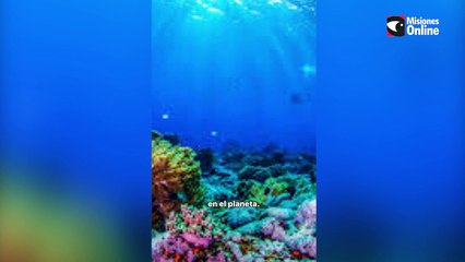 Día Mundial de los Océanos