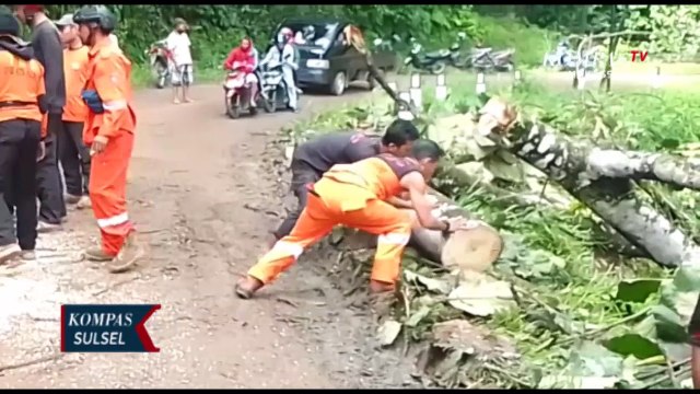 Hujan Deras Picu Longsor Dan Pohon Tumbang