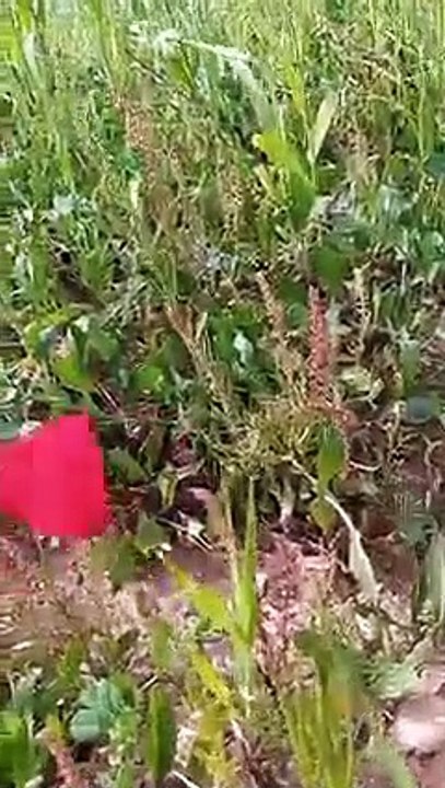 Ait bou Ali tidili massfioua Marrakech Maroc