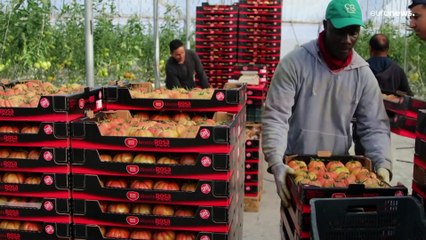 España tercer país de la UE en acabar por ley con el desperdicio de alimentos