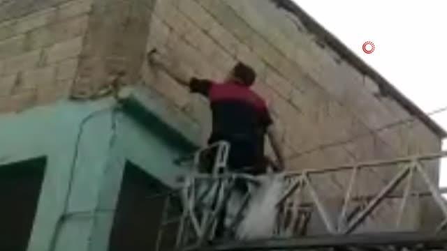 Duvardaki deliğe sıkışan ebabil kuşu böyle kurtardı