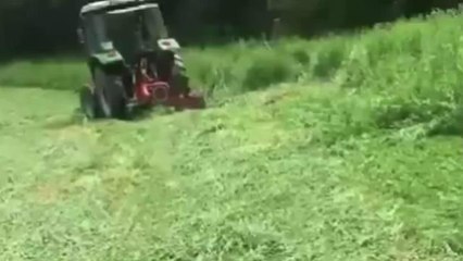 Artvinli Besici: "Kendi Otumuzu, Kendi Çayırımızdan Para ile Alıyoruz. Biçim de Zor, Hayvancılık Da…"