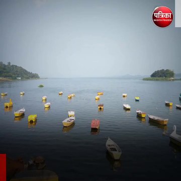 मध्य प्रदेश राष्ट्रीय उद्यान में लापता बाघ 6 घंटे बाद मिला