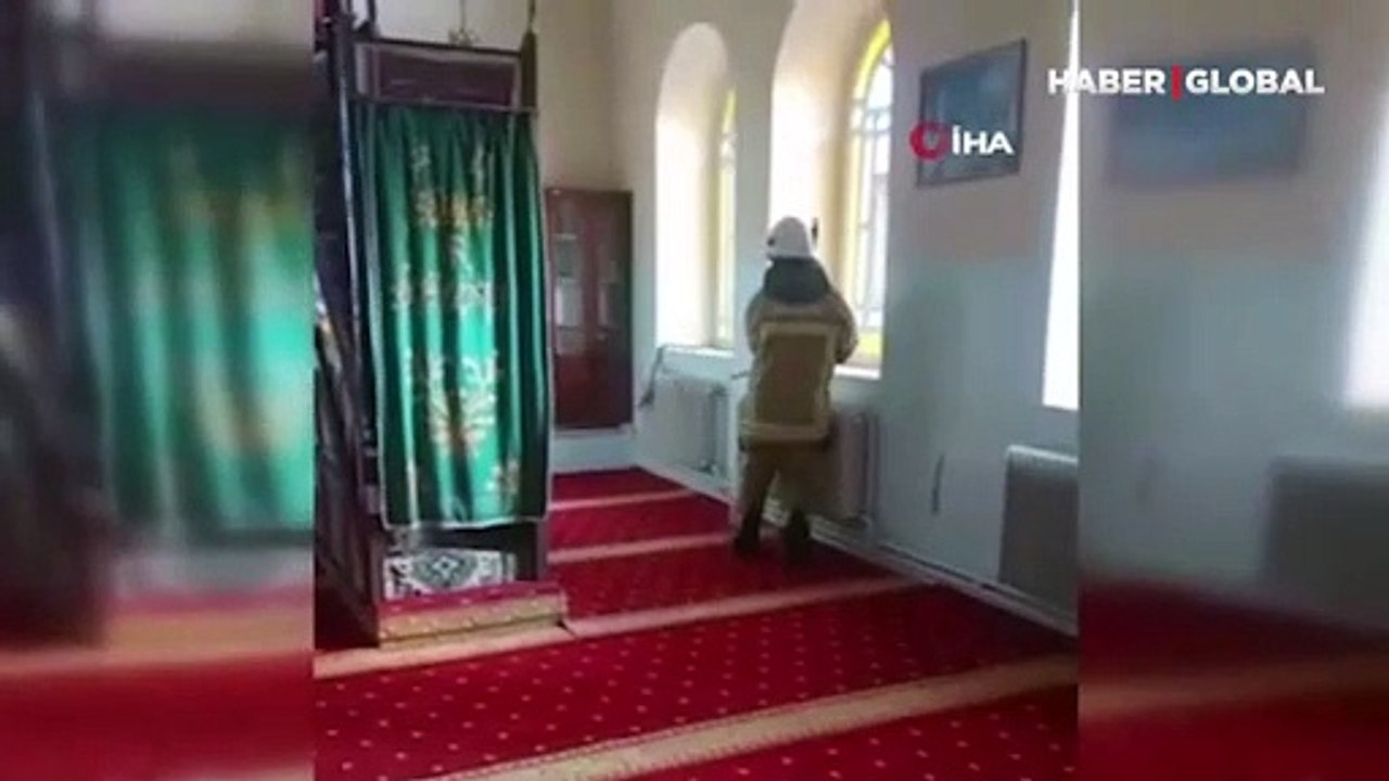 Camide yılan paniği