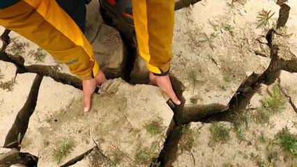 [영상] 물을 기다리는, 간절한 땅 / YTN