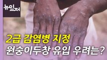 [뉴있저] 오늘부터 ‘원숭이두창' 2급 감염병...국내 유입 가능성은? / YTN