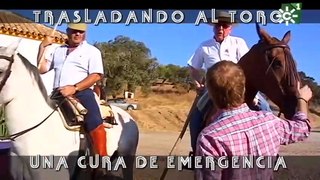 Toro malherido de Las Monjas es intervenido por el veterinario en la plaza _ Toros desde Andalucía-(480p)