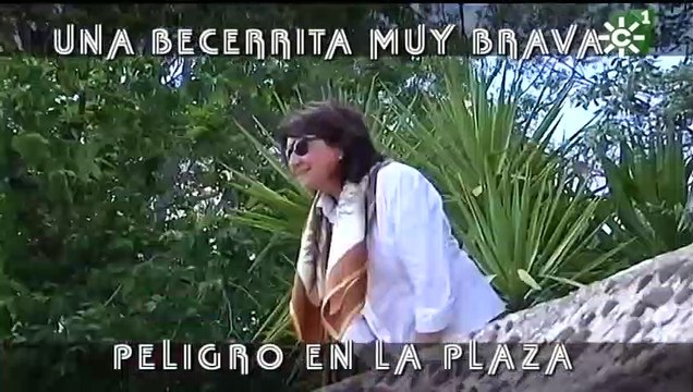 Toros de El Añadío_ becerrita muy brava recibe una patada de otra vaca _ Toros desde Andalucía-(480p)