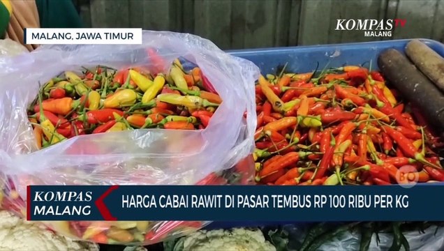 Makin Pedas!!! Harga Cabai di Malang Tembus Rp 100 ribu Per Kilogram